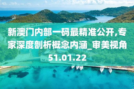 新澳门内部一码最精准公开,专家深度剖析概念内涵_审美视角51.01.22