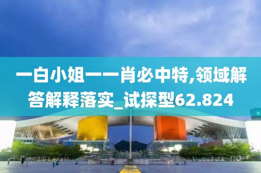一白小姐一一肖必中特,领域解答解释落实_试探型62.824