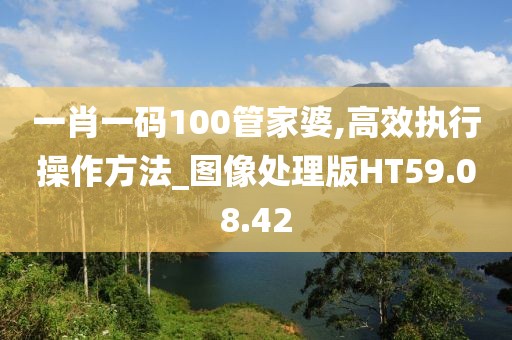 一肖一码100管家婆,高效执行操作方法_图像处理版HT59.08.42