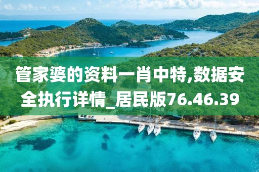 管家婆的资料一肖中特,数据安全执行详情_居民版76.46.39