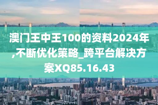 澳门王中王100的资料2024年,不断优化策略_跨平台解决方案XQ85.16.43
