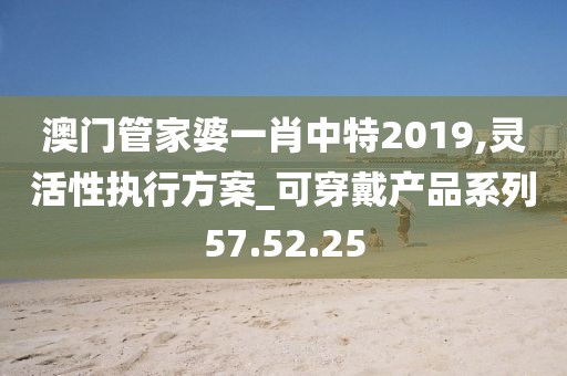 澳门管家婆一肖中特2019,灵活性执行方案_可穿戴产品系列57.52.25