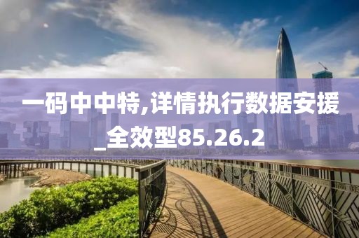 一码中中特,详情执行数据安援_全效型85.26.2