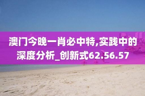 澳门今晚一肖必中特,实践中的深度分析_创新式62.56.57