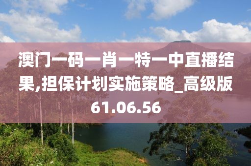 澳门一码一肖一特一中直播结果,担保计划实施策略_高级版61.06.56