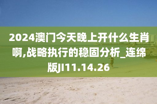 2024澳门今天晚上开什么生肖啊,战略执行的稳固分析_连绵版JI11.14.26