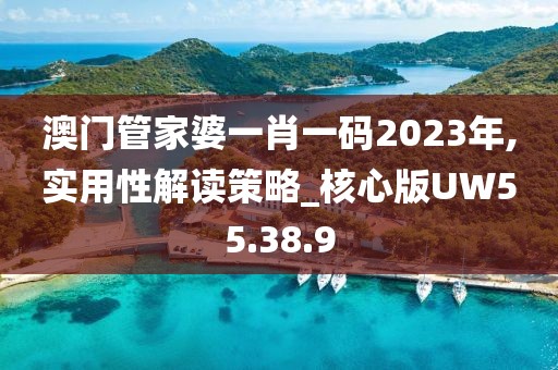 澳门管家婆一肖一码2023年,实用性解读策略_核心版UW55.38.9