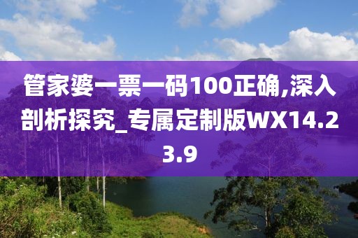 管家婆一票一码100正确,深入剖析探究_专属定制版WX14.23.9