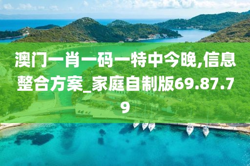 澳门一肖一码一特中今晚,信息整合方案_家庭自制版69.87.79