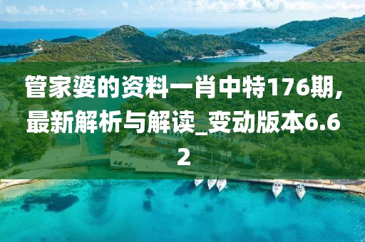 管家婆的资料一肖中特176期,最新解析与解读_变动版本6.62
