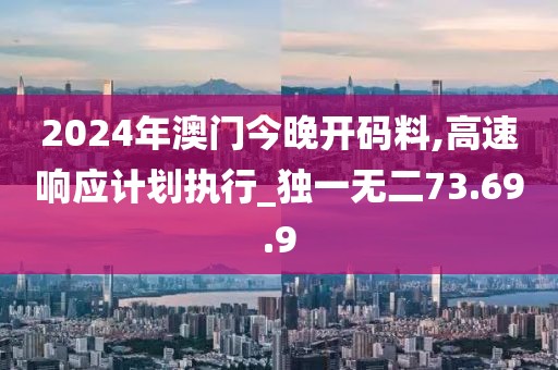 2024年澳门今晚开码料,高速响应计划执行_独一无二73.69.9