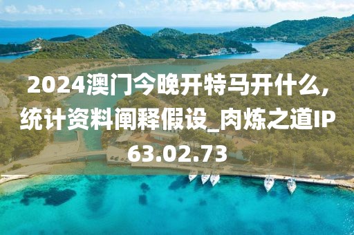 2024澳门今晚开特马开什么,统计资料阐释假设_肉炼之道IP63.02.73