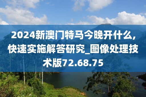 2024新澳门特马今晚开什么,快速实施解答研究_图像处理技术版72.68.75