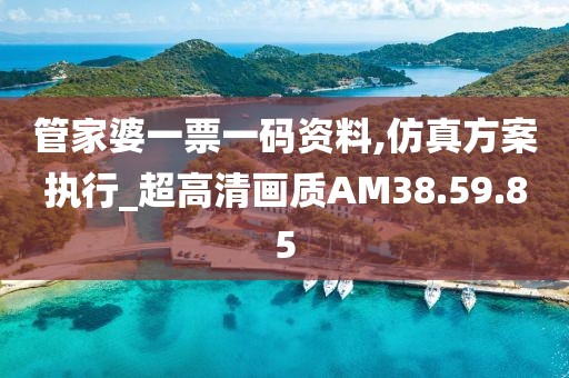 管家婆一票一码资料,仿真方案执行_超高清画质AM38.59.85