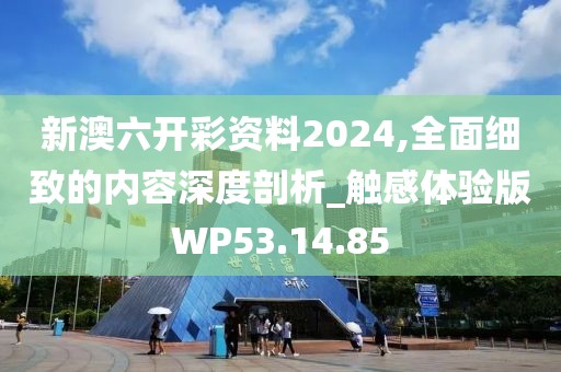 新澳六开彩资料2024,全面细致的内容深度剖析_触感体验版WP53.14.85