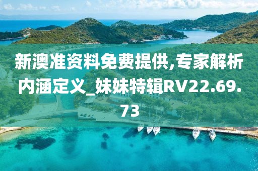 新澳准资料免费提供,专家解析内涵定义_妹妹特辑RV22.69.73