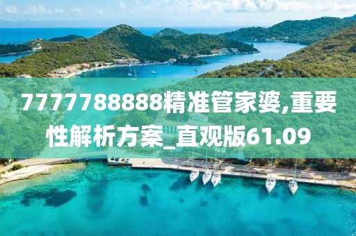 7777788888精准管家婆,重要性解析方案_直观版61.09