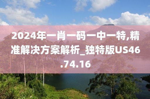 2024年一肖一码一中一特,精准解决方案解析_独特版US46.74.16