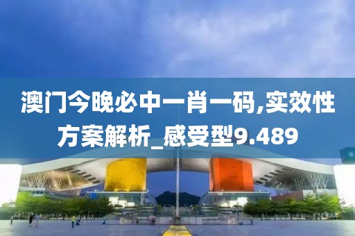 澳门今晚必中一肖一码,实效性方案解析_感受型9.489