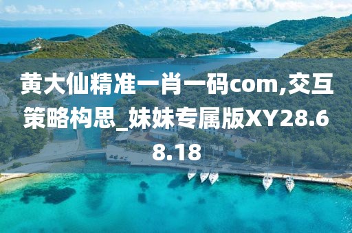 黄大仙精准一肖一码com,交互策略构思_妹妹专属版XY28.68.18
