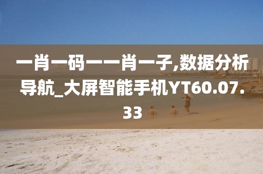 一肖一码一一肖一子,数据分析导航_大屏智能手机YT60.07.33