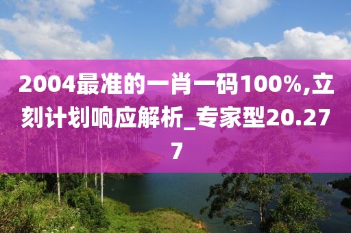 2004最准的一肖一码100%,立刻计划响应解析_专家型20.277