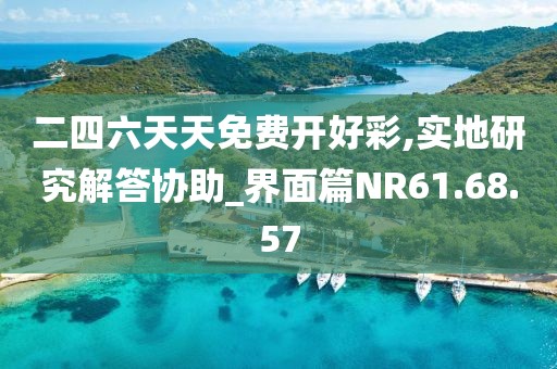 二四六天天免费开好彩,实地研究解答协助_界面篇NR61.68.57