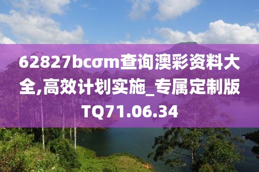 62827bcσm查询澳彩资料大全,高效计划实施_专属定制版TQ71.06.34