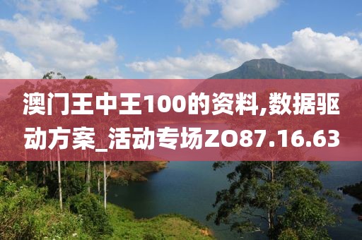 澳门王中王100的资料,数据驱动方案_活动专场ZO87.16.63