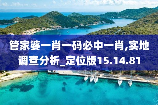 管家婆一肖一码必中一肖,实地调查分析_定位版15.14.81