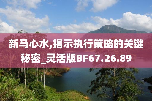 新马心水,揭示执行策略的关键秘密_灵活版BF67.26.89