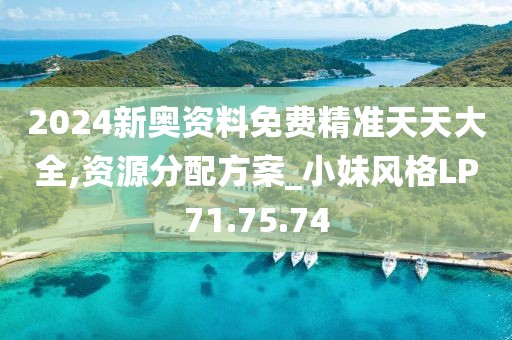 2024新奥资料免费精准天天大全,资源分配方案_小妹风格LP71.75.74