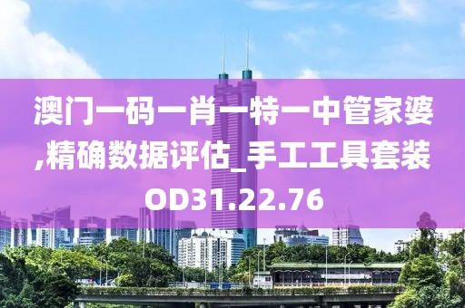 澳门一码一肖一特一中管家婆,精确数据评估_手工工具套装OD31.22.76
