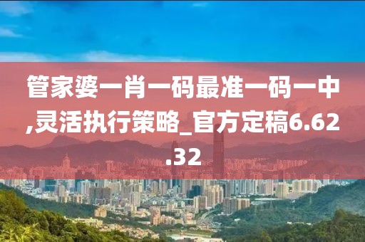 管家婆一肖一码最准一码一中,灵活执行策略_官方定稿6.62.32