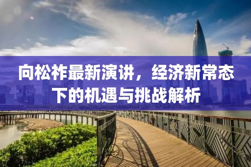 向松祚最新演讲，经济新常态下的机遇与挑战解析
