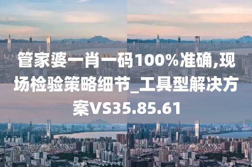 管家婆一肖一码100%准确,现场检验策略细节_工具型解决方案VS35.85.61