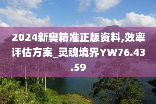 2024新奥精准正版资料,效率评估方案_灵魂境界YW76.43.59