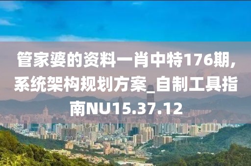 管家婆的资料一肖中特176期,系统架构规划方案_自制工具指南NU15.37.12