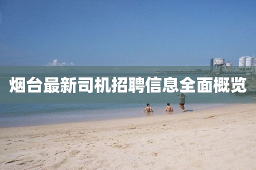 烟台最新司机招聘信息全面概览