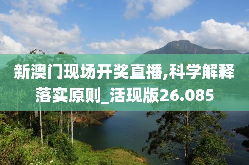新澳门现场开奖直播,科学解释落实原则_活现版26.085