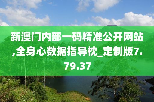 新澳门内部一码精准公开网站,全身心数据指导枕_定制版7.79.37