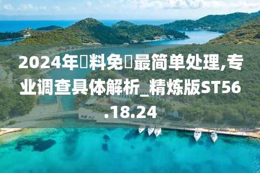 2024年資料免費最简单处理,专业调查具体解析_精炼版ST56.18.24