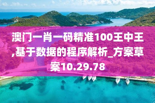 澳门一肖一码精准100王中王,基于数据的程序解析_方案草案10.29.78