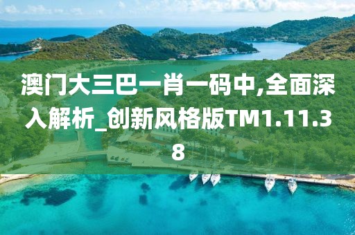 澳门大三巴一肖一码中,全面深入解析_创新风格版TM1.11.38