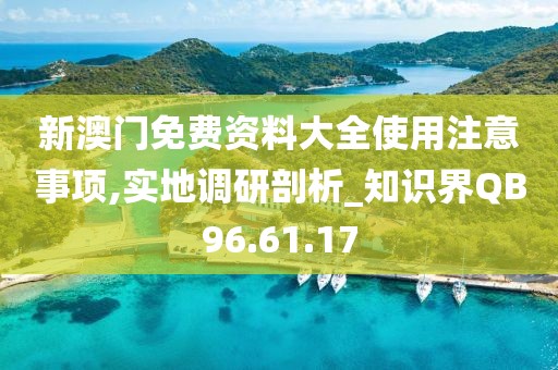 新澳门免费资料大全使用注意事项,实地调研剖析_知识界QB96.61.17