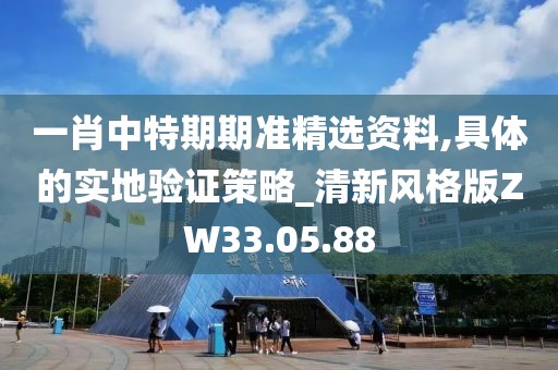 一肖中特期期准精选资料,具体的实地验证策略_清新风格版ZW33.05.88