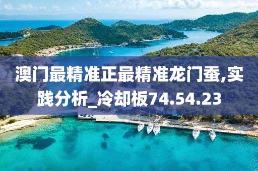 澳门最精准正最精准龙门蚕,实践分析_冷却板74.54.23