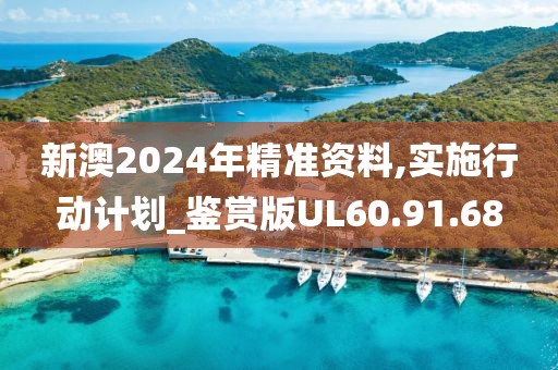 新澳2024年精准资料,实施行动计划_鉴赏版UL60.91.68