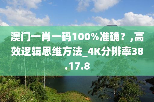 澳门一肖一码100%准确？,高效逻辑思维方法_4K分辨率38.17.8