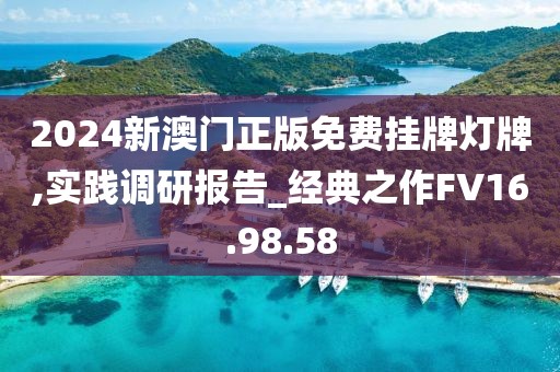 2024新澳门正版免费挂牌灯牌,实践调研报告_经典之作FV16.98.58